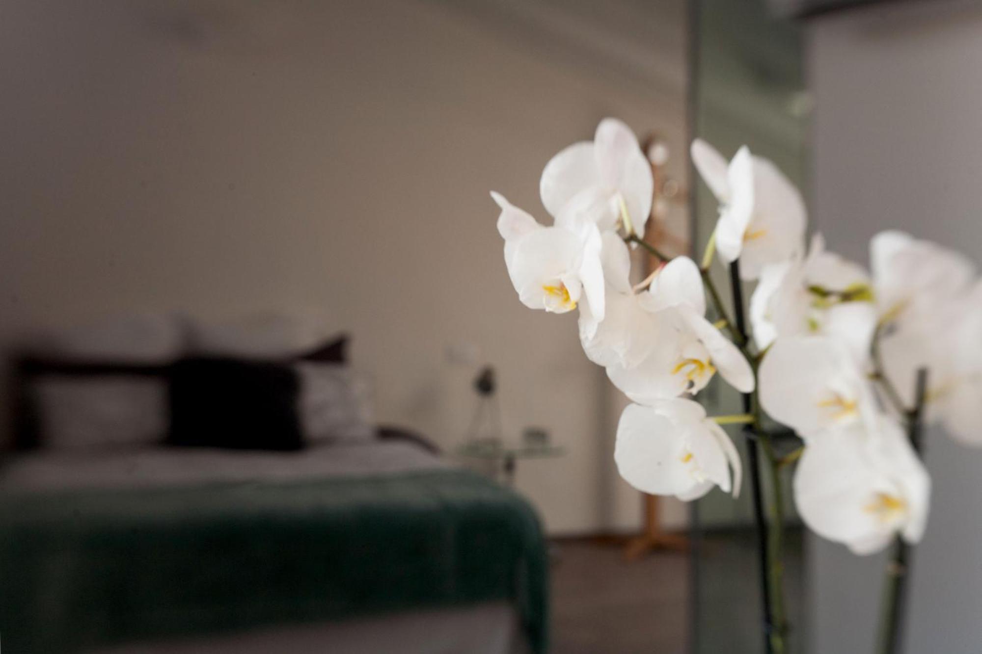 San Clemente Bed & Breakfast Crema Ngoại thất bức ảnh
